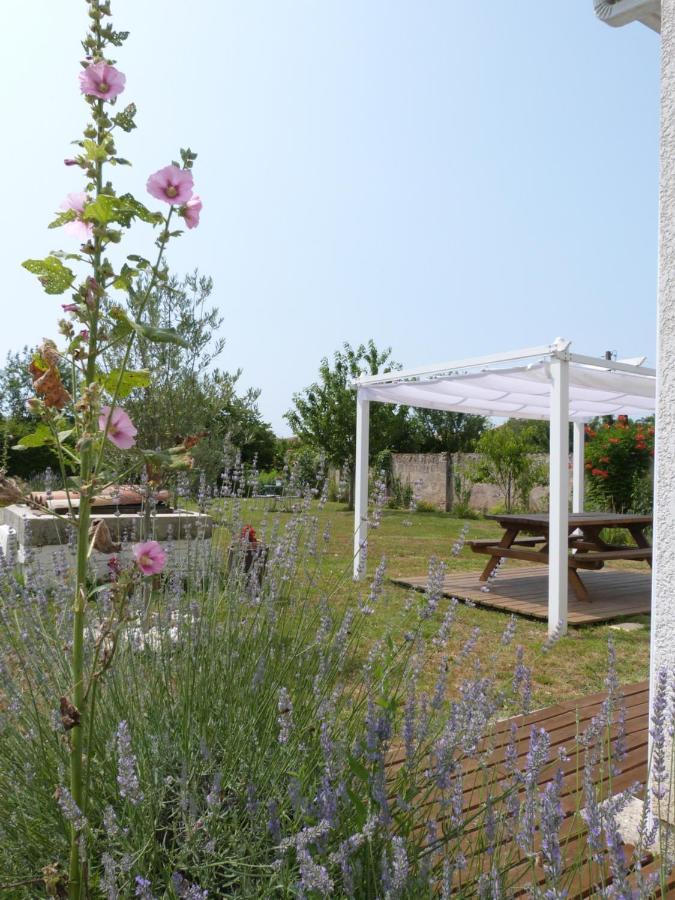 Gite Le Cherche Midi Gaillac Exteriér fotografie